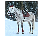   Christmas Collection Saddle Pad 