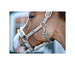 Christmas Collection Headcollar