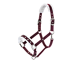 Christmas Collection Headcollar