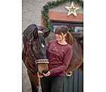 Christmas Collection Headcollar