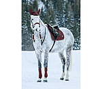 Christmas Collection Nose and Rein Cover