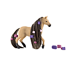 Beauty Horse Andalusian Mare