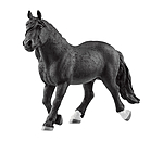 Noriker Stallion