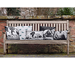 Cushion Horse Friends