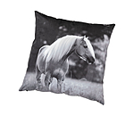 SH Cushion Haflinger