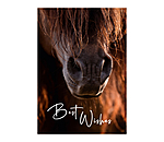 Greetings Card Best Wishes