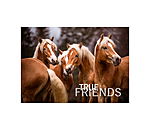Greetings Card True Friends