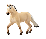 Fjord Horse Mare