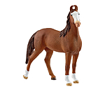 Marwari Mare