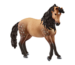 Andalusian Mare