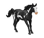 Paint Horse Gelding