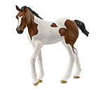 Paint Horse Foal