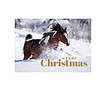 Greeting Card Merry Christmas