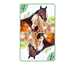 Mau Mau Horse Friends