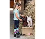 Hobby Horse Stable