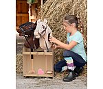 Hobby Horse Grooming Set
