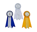 Hobby Horse Competition Ribbon Set