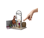 Sofia's Horse Wash Bay