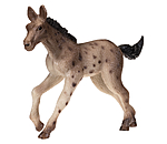 Play Series Knabstrupper Foal