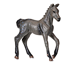Play Series Andalusian Foal