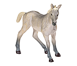 Play Series Grey Foal