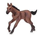 Play Series Oldenburg Foal