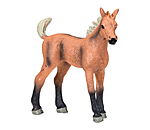 Play Series Belgian Warmblood Foal