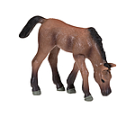 Play Series Grazing Foal