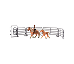 Play Series Haflinger Set