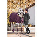 3-in-1 Hooded Functional Riding Coat Phoebe