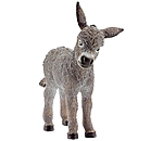 Donkey Foal