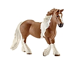 Irish Cob Mare