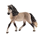 Andalusian Mare