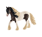 Irish Cob Stallion II