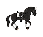 Friesian Stallion Competition