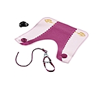 Rug & Headcollar Sofia & Blossom