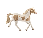 Paint Horse Mare