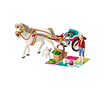 Carriage for Horse Show