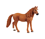 German Riding Pony Mare