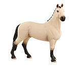 Hanoverian Gelding