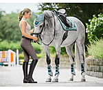 Hybrid Grip Full Seat Breeches Mesh Aimee