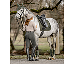 Compression Grip Breeches Carolyn