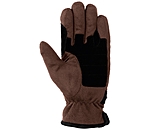 Winter Riding Gloves Luzern