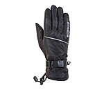 Winter Riding Gloves Alaska II