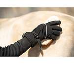 Winter Riding Gloves Alaska II