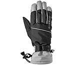 Winter Riding Gloves Alaska II