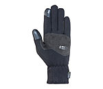 Winter Riding Gloves WIDNES