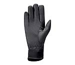 Winter Riding Gloves Winsford II