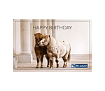 Gift Voucher