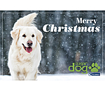 Gift Voucher